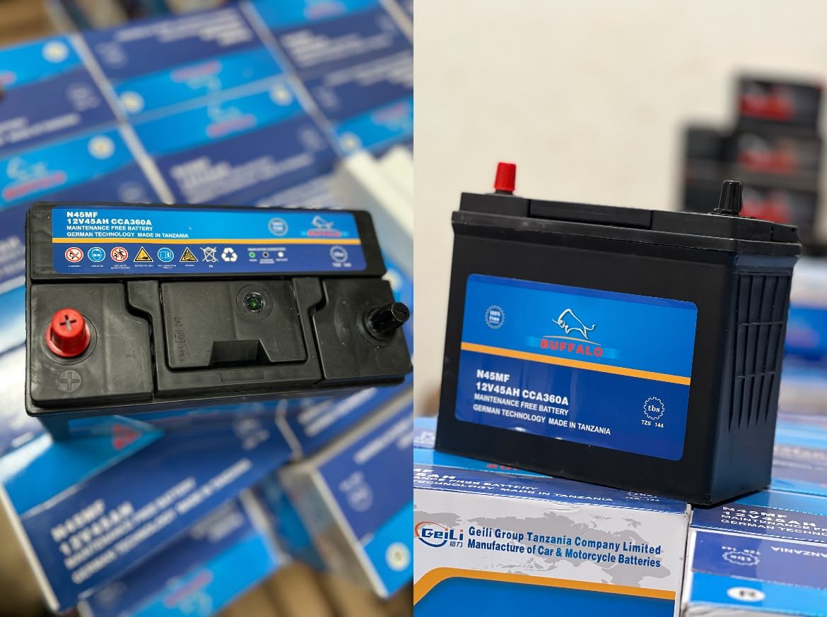 BUFFALO/RHINO N45 MF battery